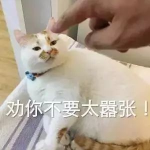 DƬ